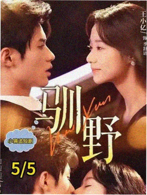 回声档案 封面
